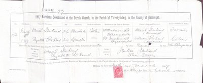 Marriage of Daniel Jenkins and Elizabeth Perkins